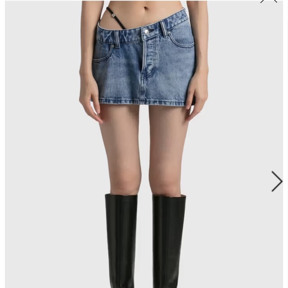 Alexander Wang Diamanté Skirt - Picture 2 of 2